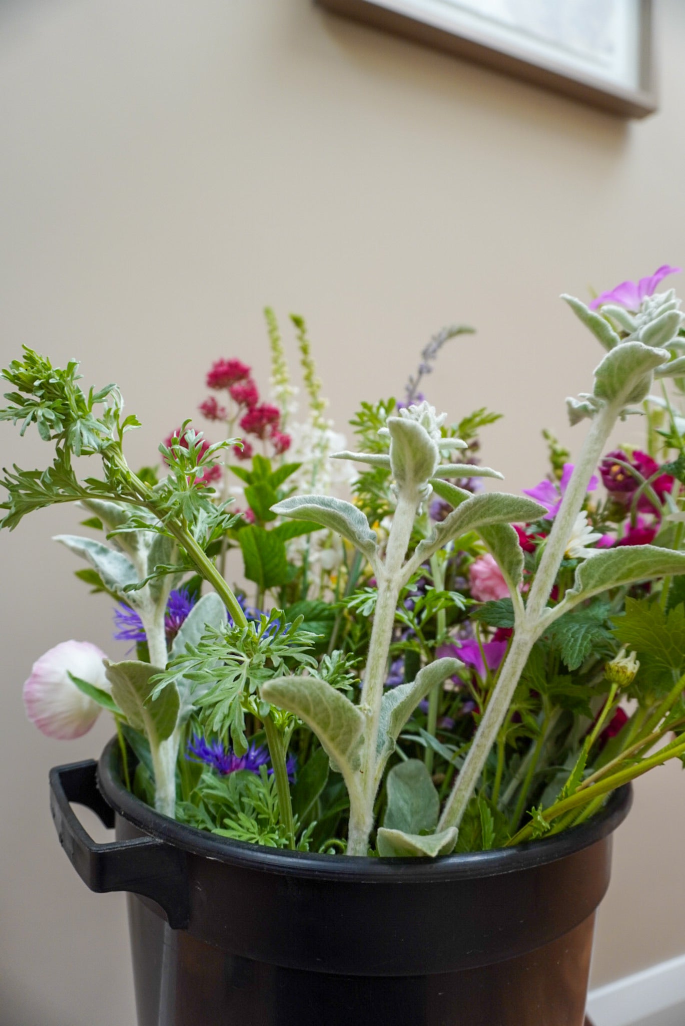 Flower bucket assortment containing flowers and foliage grown in Naas