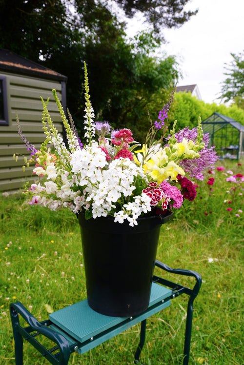 Flower bucket assortment containing flowers and foliage grown in Naas