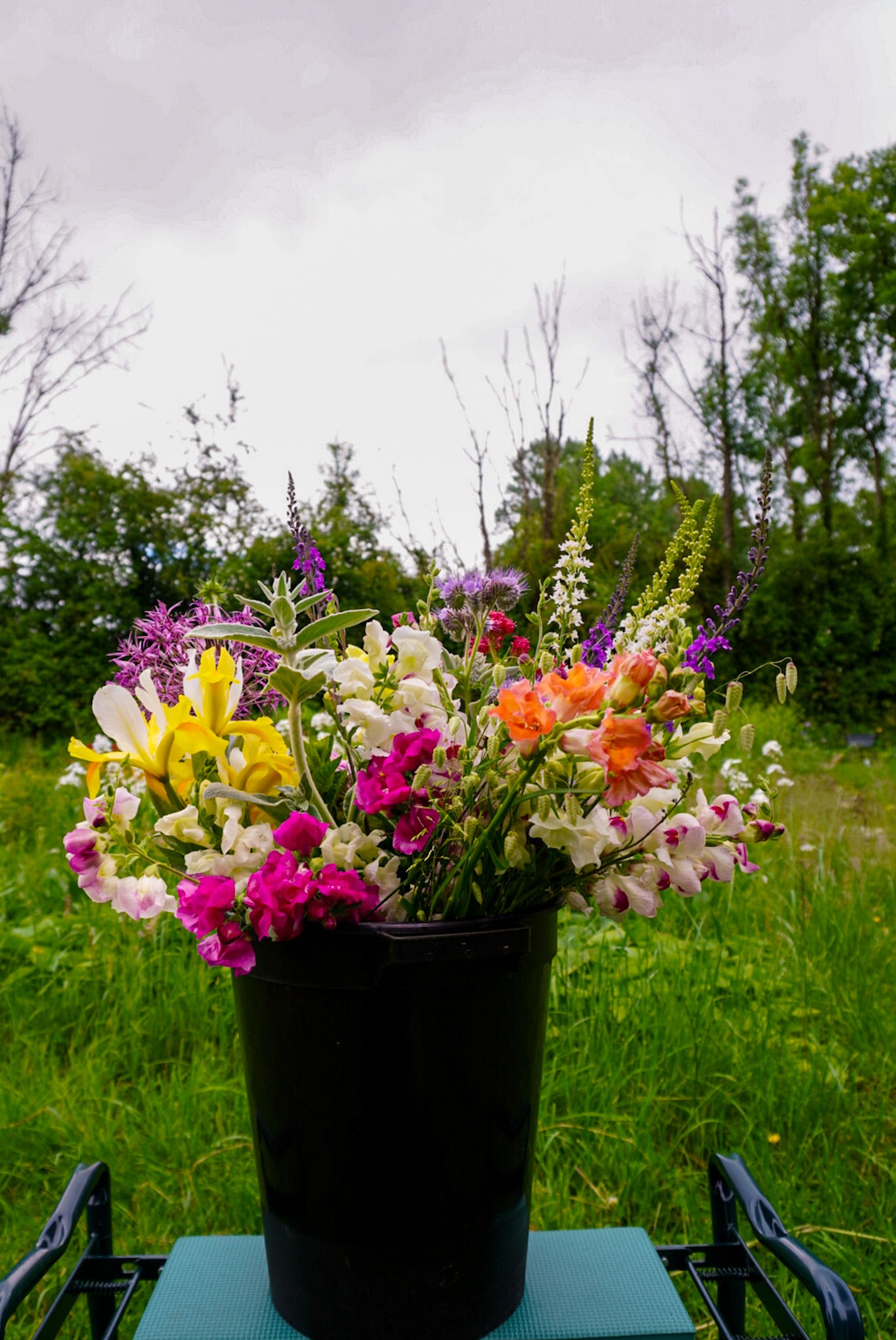 Flower bucket assortment containing flowers and foliage grown in Naas