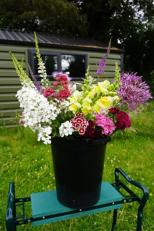 Flower bucket assortment containing flowers and foliage grown in Naas